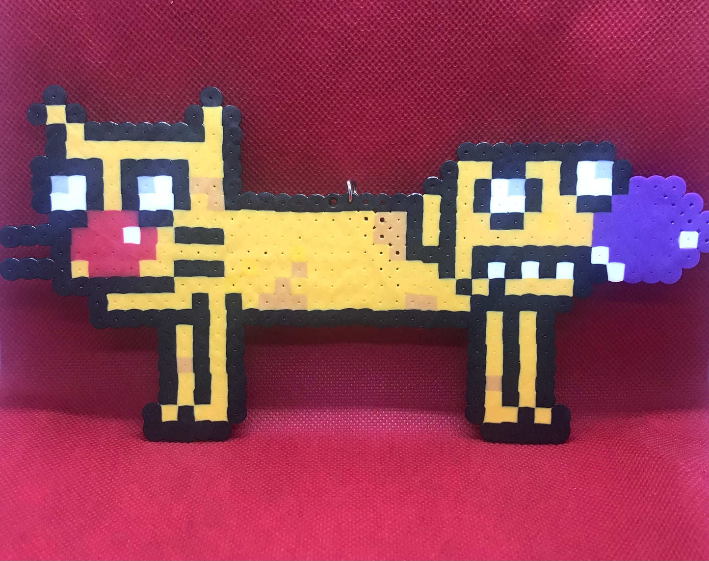 Cat dog
